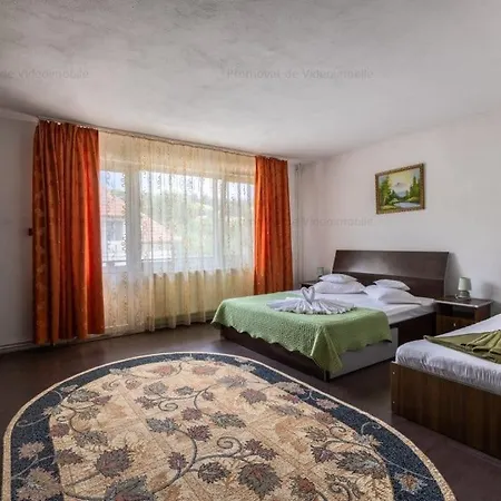 Pensiunea Casa Beatrice Guest house *