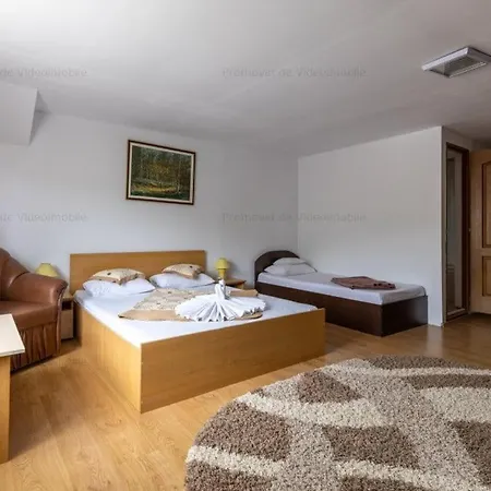 Pensiunea Casa Beatrice Guest house Bran (Brasov)