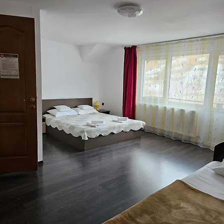 Guest house Pensiunea Casa Beatrice Bran (Brasov)