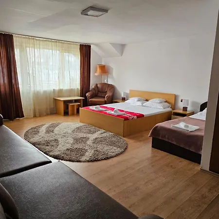 Guest house Pensiunea Casa Beatrice *