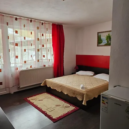 Guest house Pensiunea Casa Beatrice *